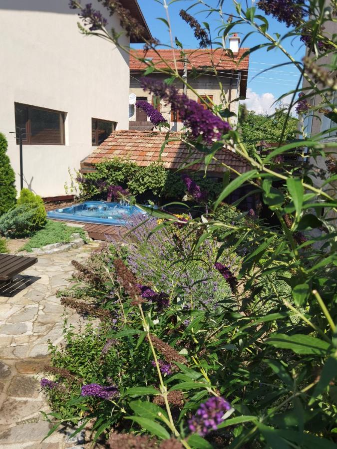Mira Guest House Dobrinishte Exterior foto