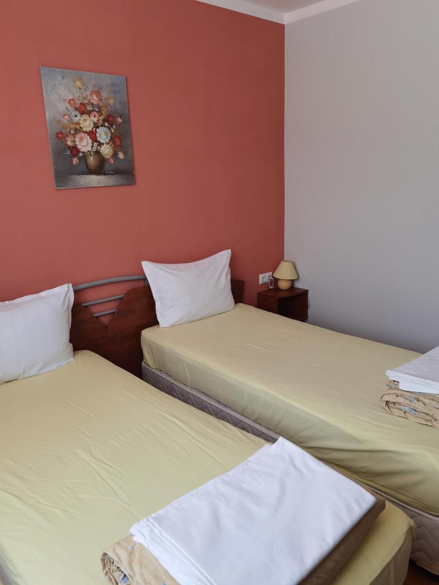 Mira Guest House Dobrinishte Habitación foto